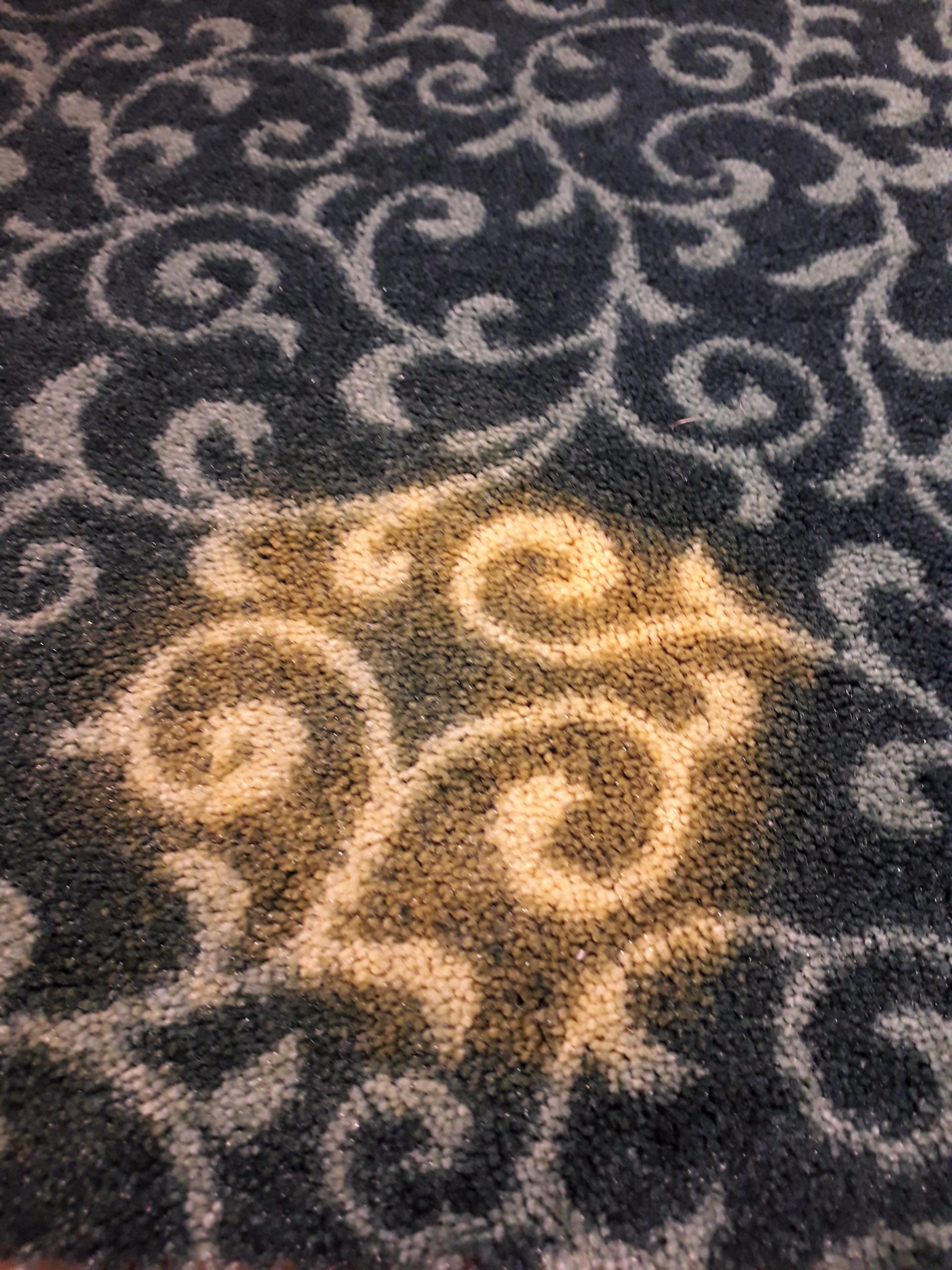 Disinfecting Bleach damage to Carpets Carpet and Rug Dyeing